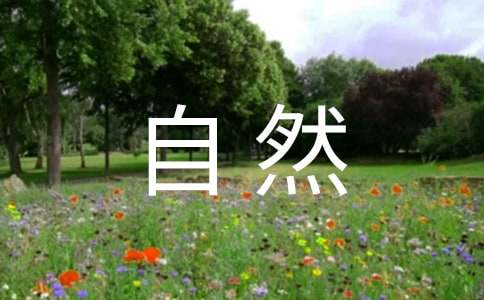 �茑����Ȼ�������~�Z