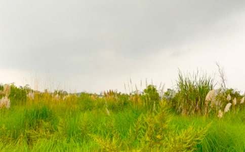 ���M���C�Ĵ������ģ����x22ƪ��