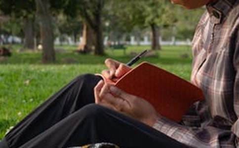 �ǵ�Ұ������