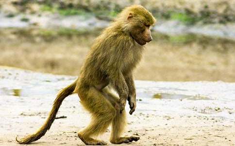 �{�~(y��)������Ԣ�Թ���