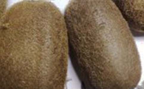 �茑�J��������450�֣����x32ƪ��