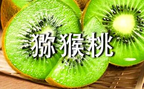 ���l(xi��ng)�īJ�������ģ����x21ƪ��