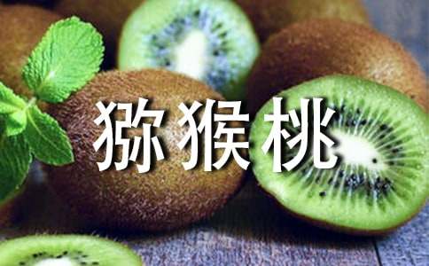 家鄉(xiāng)的獼猴桃作文(通用12篇)