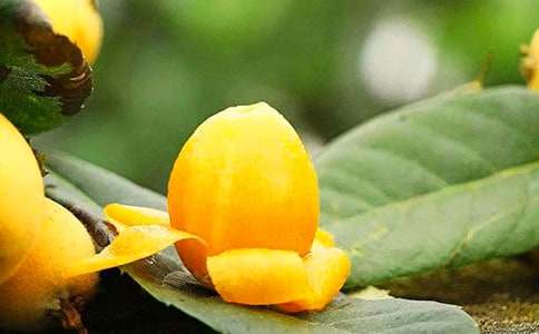 ���������˘�����