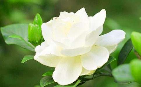 ��I(xi��n)һ��d�ӻ���������