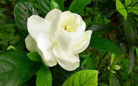 �d�ӻ����ģ�ͨ��80ƪ��