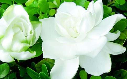 ��(d��ng)�d�ӻ��_�ĕr(sh��)������