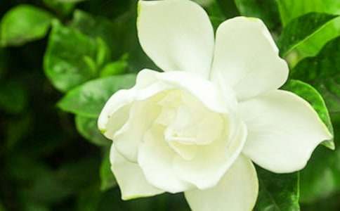 ���P(gu��n)������ėd�ӻ��_����