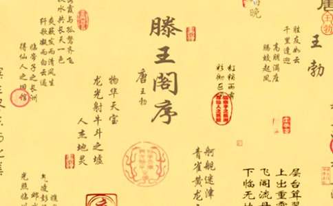 �������w������