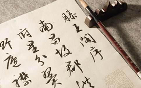 �����������w���x���