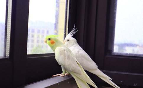 ����Ʒ���W�^�~����4ƪ