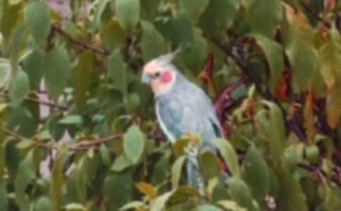 �W�^�~(y��)���ąR����ƪ