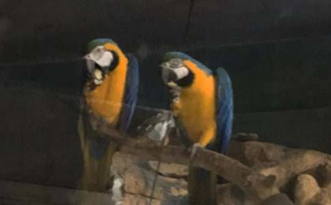 �W�^�~����