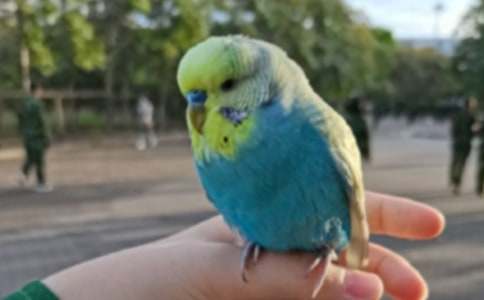 �P(gu��n)���W�^�~(y��)���ĺϼ���ƪ