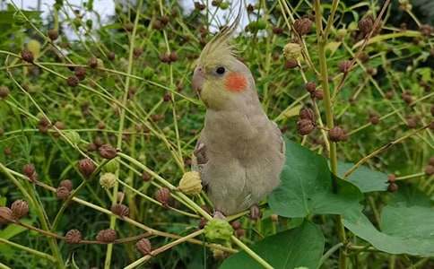 ���؂䡿�W�^�~������ƪ