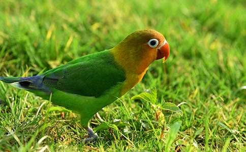 ��Ȥ��Ԣ�Թ��£�С�W�^�ȴ��