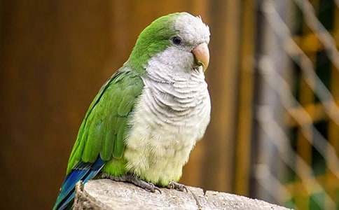 ���x�W�^�~(y��)����6ƪ