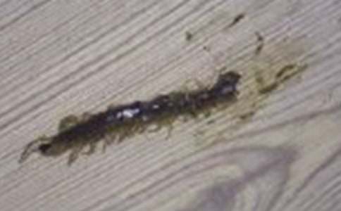 ׷��ĸ(chu��ng)�µ����Ԣ�Թ���