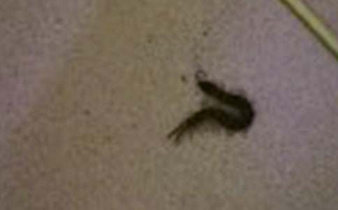 ��������:�����_