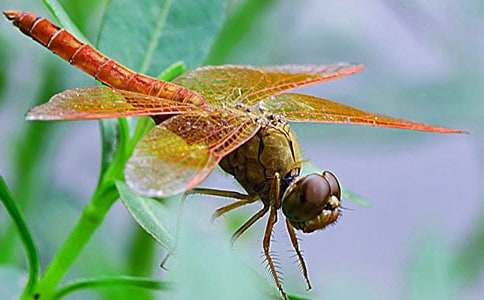 ����������600�֣����x26ƪ��