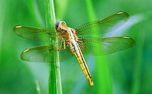 ���o(h��)����С�W(xu��)������300��