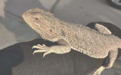 �Ҽҵ���������600��