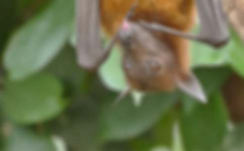 �����С�W(xu��)����500��