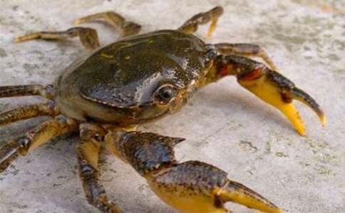 �з����400�֣�ͨ��20ƪ��