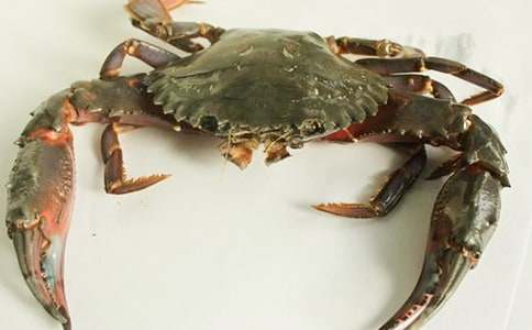 �^���з����350��