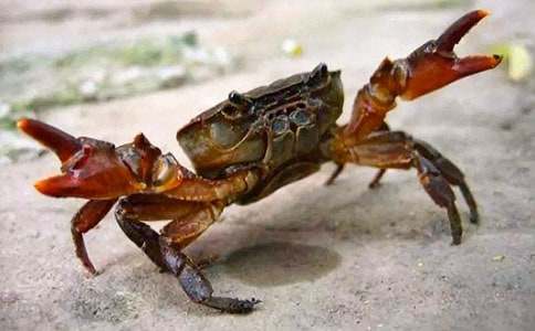 �з�����qͯԒ����