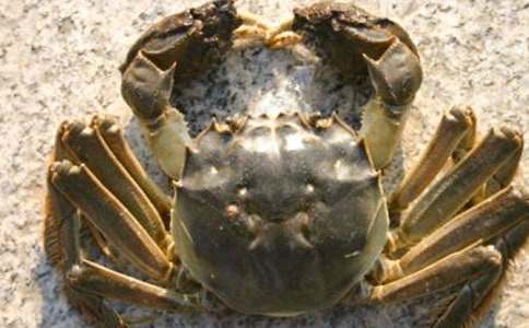 �^���з����(15ƪ)