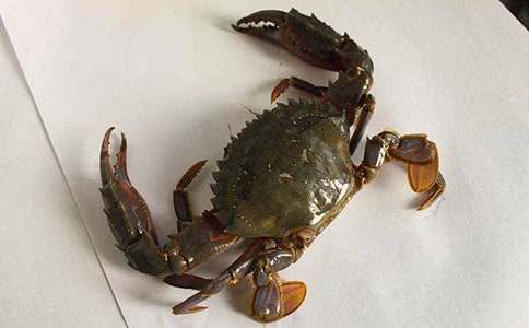 С�W(xu��)�з����