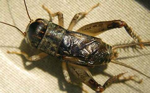 �����]��������300��3ƪ