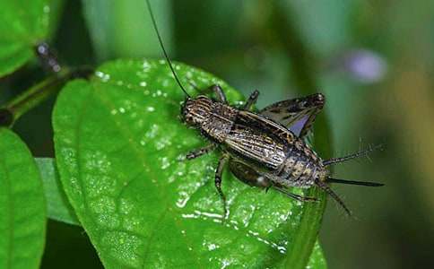 ������400��3ƪ