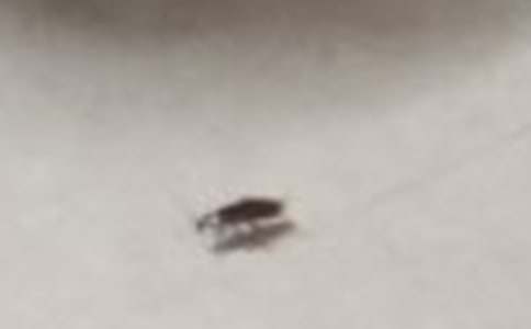 �������300����ƪ