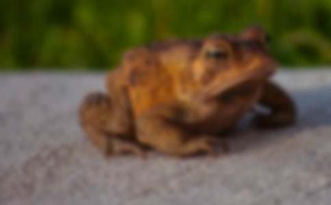 �茑(xi��)��ܵĳ�������400��