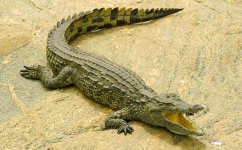 �{�~����ӛ������