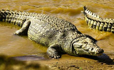 �{�~�Ġ������ľ��x