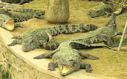 �{�~���ۜIͯԒ����