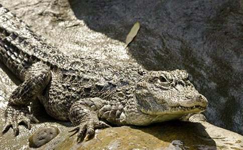 �茑�{�~�Ľ�(j��ng)������300��35ƪ