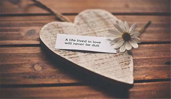 ��С������������