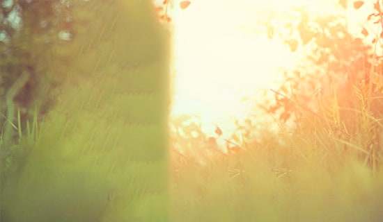 Ψ���Ľ�(j��ng)��Ӣ�Ķ��Z�̾䣨���x135�䣩