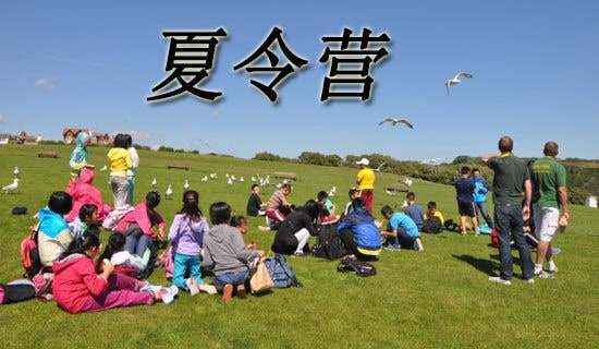 深圳夏令營(yíng)作文