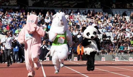 激心動(dòng)人的運(yùn)動(dòng)會(huì)作文