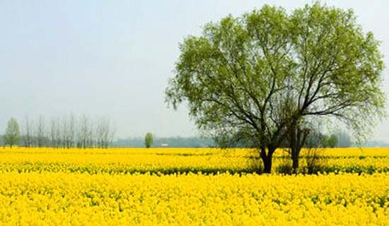 �δ����L�L���@����