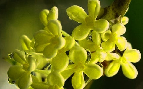 ����Ʒ�����������\��10ƪ